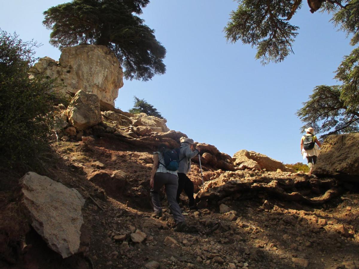 Gite Skoura Caid Bou Malla Luaran gambar