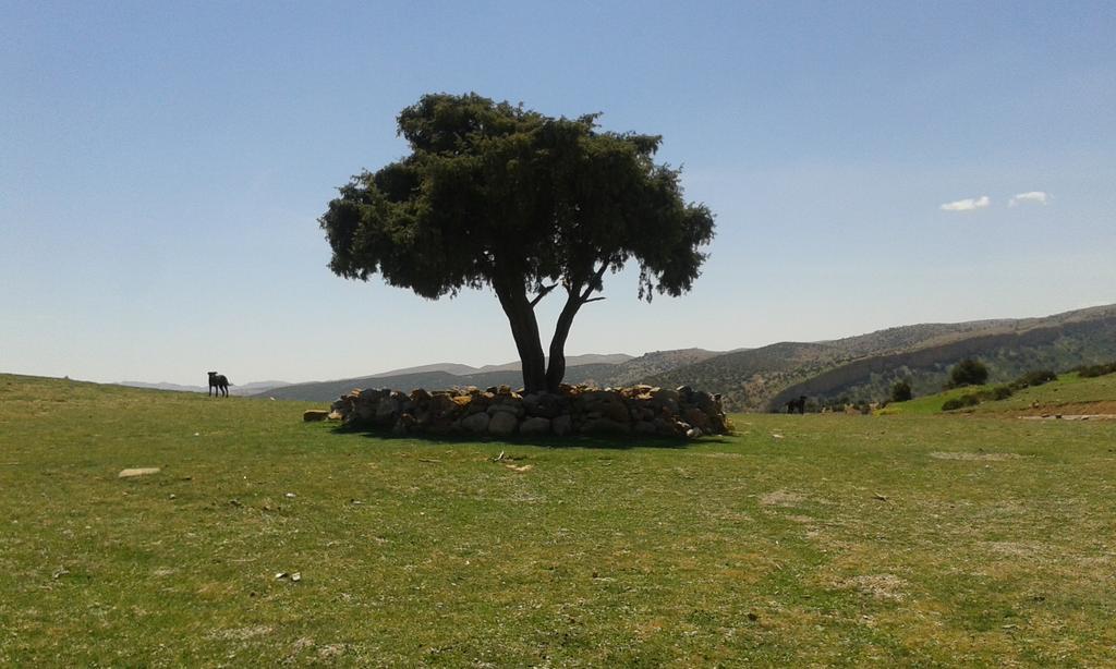 Gite Skoura Caid Bou Malla Luaran gambar