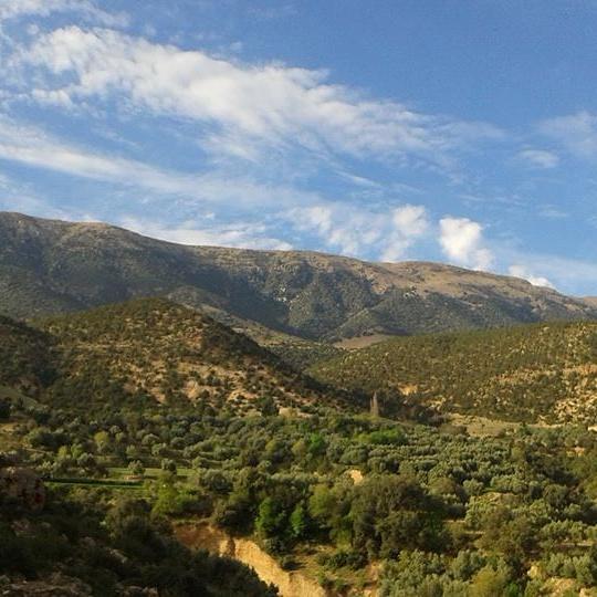 Gite Skoura Caid Bou Malla Luaran gambar